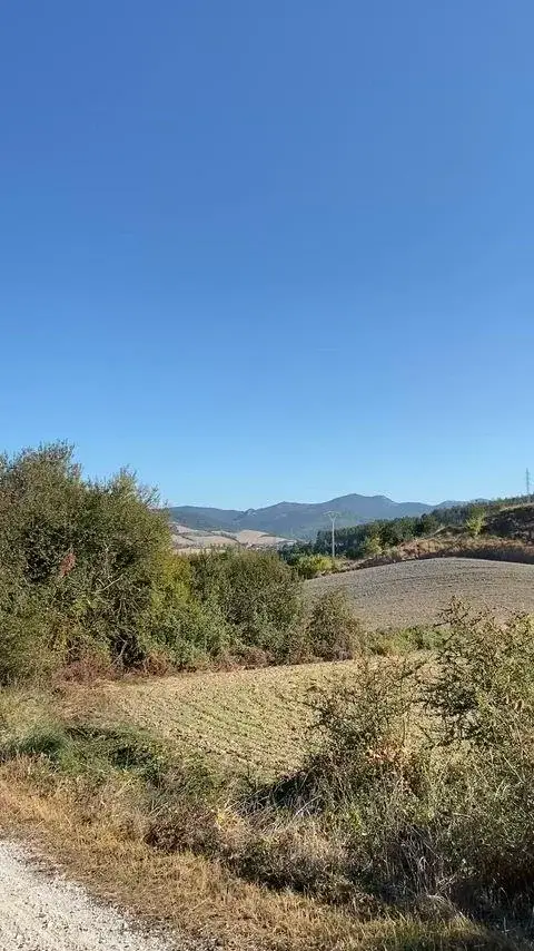 Preview image from Flashing Action Galleries slideshow: I just love walking outside like this