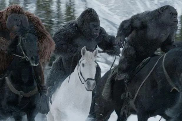 Preview image: riding preview 14