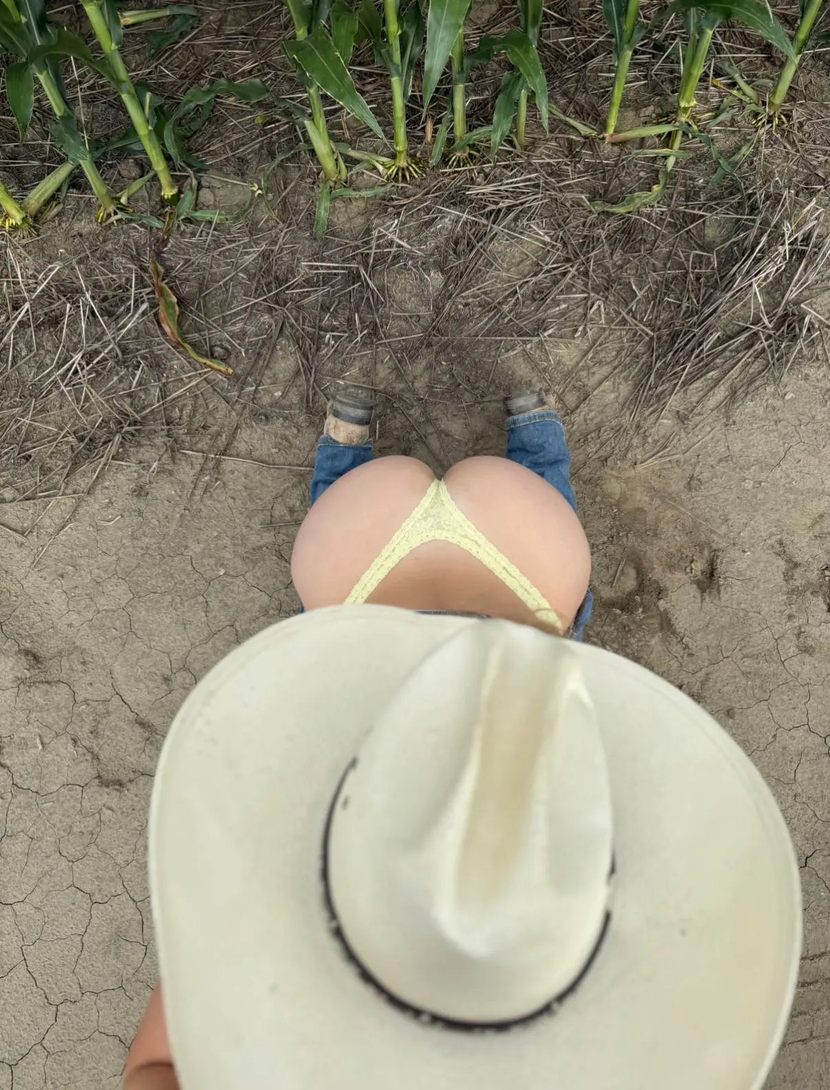 Preview image: thong preview 5